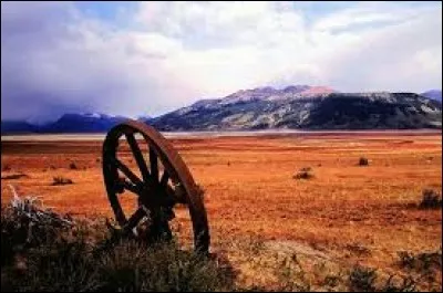 Ce milieu naturel fortement présent en Argentine se caractérise par de vastes plaines quasi dépourvues d'arbres, riches en prairies et brousses tempérées. Il s'agit de ...