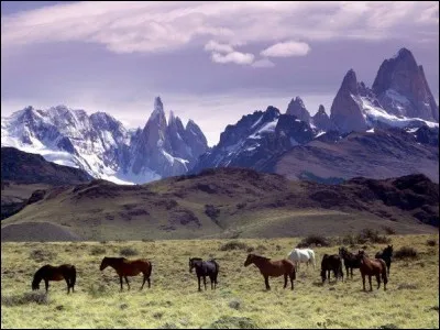 Ce sommet situé en Argentine est le point culminant de la cordillère des Andes. Comment s'appelle-t-il ?