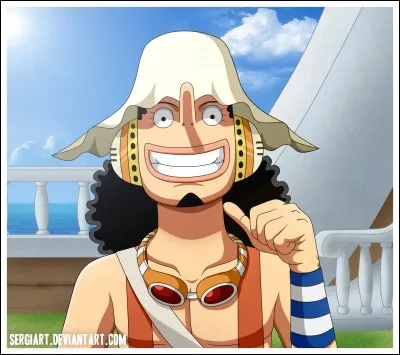 Et l'anniversaire d'Usopp ?