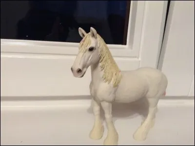 Quelle est la couleur de sa robe ?