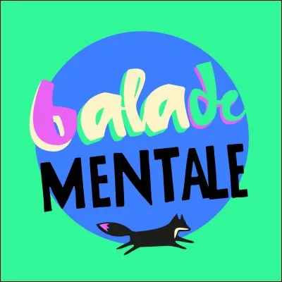 Quel adjectif correspond au style de vidéos de Balade mentale ?