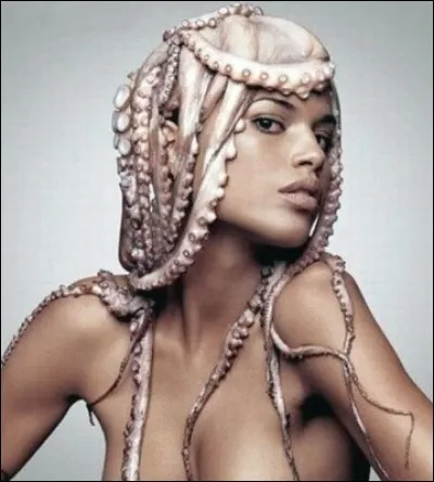 Le poulpe possède combien de cerveaux ?