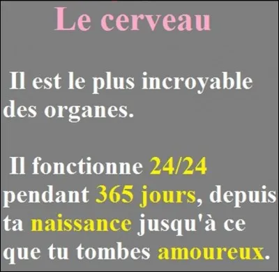 Le cerveau est l'organe sexuel le plus important.
