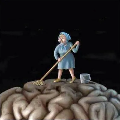 Quelle organisation terroriste, militaire et politique, pratique le 'lavage de cerveau' ?