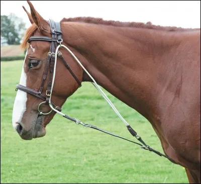 A quoi sert le gogue fixe ?