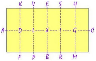 Peux-tu nous citer les figures de manège usuelles ?