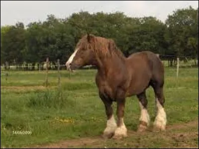 Reconnais-moi dans ton club. 
Mais qui suis-je?