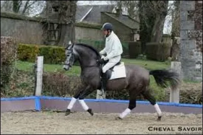Tu es sur ton cheval, Agnès te demande de faire un départ au galop en main droite correct , que fais-tu ?