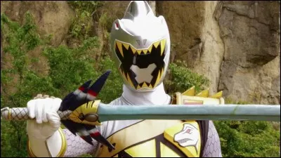 Qui est le Ranger gris ?