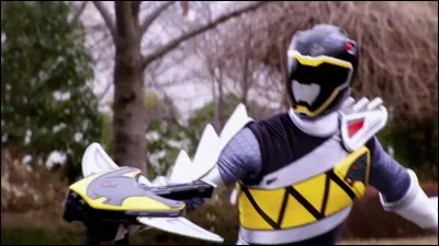 Qui est le Ranger noir ?