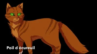 Nuage d'Écureuil a-t-elle prévenu son père au sujet du Grand Périple ?