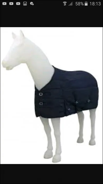 Quel est cet accessoire ?