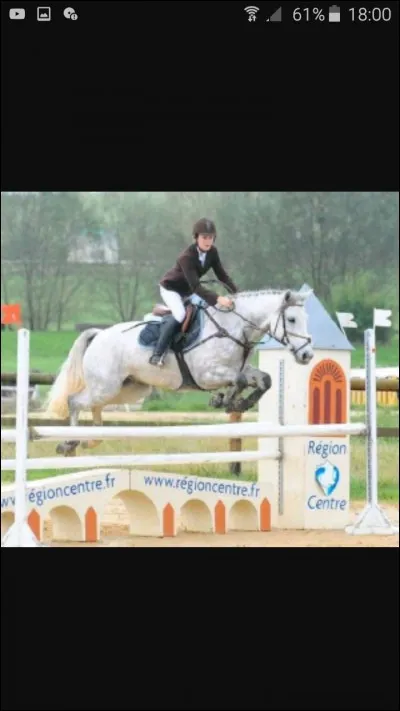 A quelle phase du saut se trouve la cavalière ?