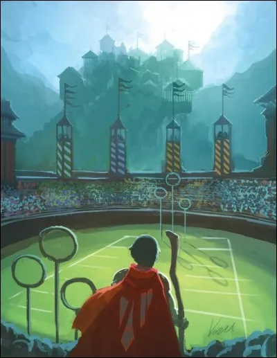 Un match de Quidditch a lieu à Poudlard.