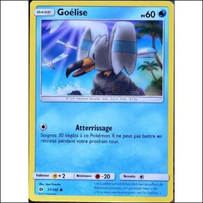 Quelle est son évolution ?