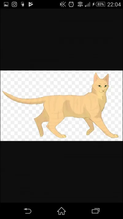 Quel est le compagnon actuel de Tempête de Sable ?