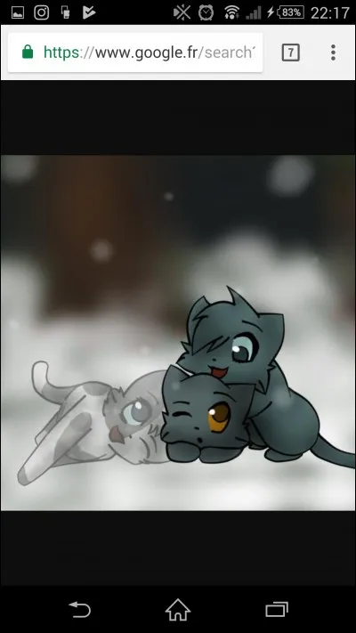 Comment s'appellent les chatons d'Étoile Bleue ?