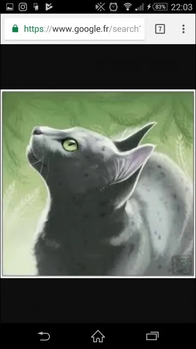 Comment est morte Fleur de Bruyère ?