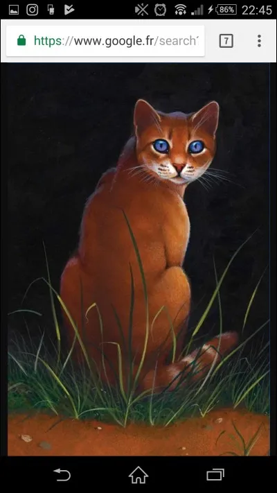 Œil de Myosotis est la sœur de ...