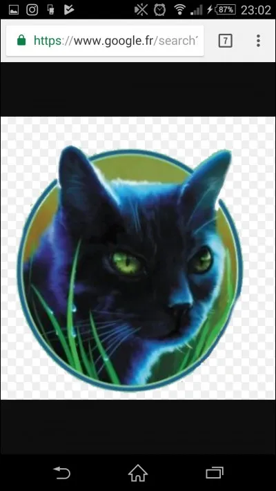 Qui est la compagne actuelle de Plume de Jais ?