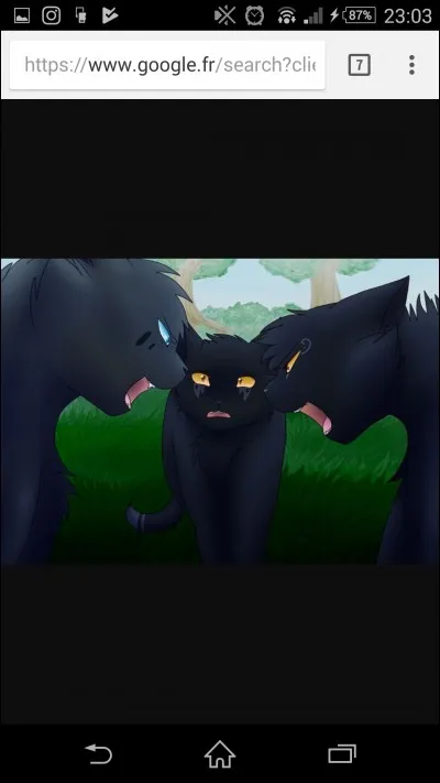 Comment se nomment les parents de Pelage de Brume ?