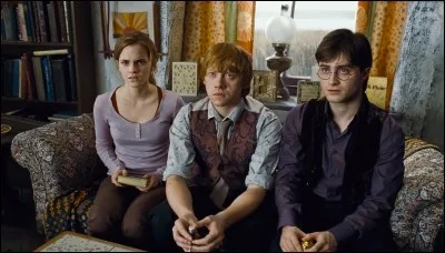 Où Harry Potter a-t-il rencontré Hermione Granger et Ronald Weasley ?
