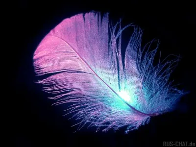 Dans quoi la plume s'étouffe-t-elle ?