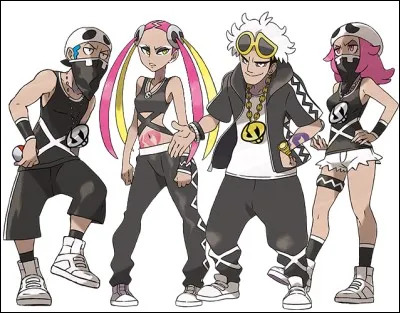Dans quel type est spécialisé Guzma, le chef de la Team Skull ?