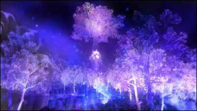 Cette région ne contient aucune quête, mais y siège la capitale du continent nommée Dalaran. C'est :