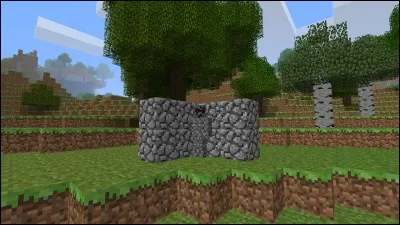 Quel est le nom de ce bloc ?