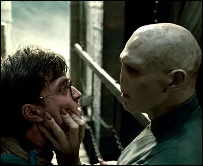 Que dit Harry à Voldemort dans "Harry Potter et les Reliques de la Mort" (partie 2) ?