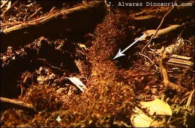 Fantassin mercenaire du XVe au XVIIe si&egrave;cle !