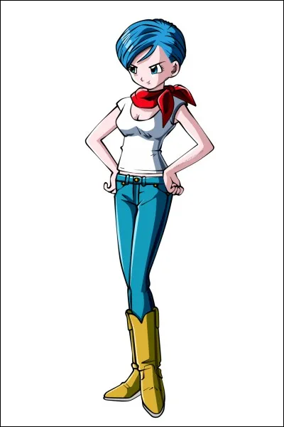 Qui était le petit ami de Bulma avant qu'elle se mette avec Vegeta ?