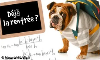 Et puis, arrivera ce moment où nous nous ____ compte que c'est la rentrée !