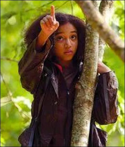 Quelle idée a eue Rue pour aider Katniss à s'échapper des carrières ?