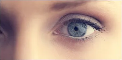 Il a les yeux de couleur...