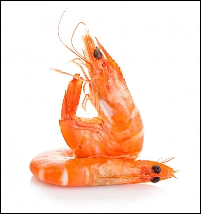 La consommation mondiale de crevettes a diminué considérablement durant les années 2000.