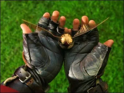 Quelle position de quidditch auriez-vous ?