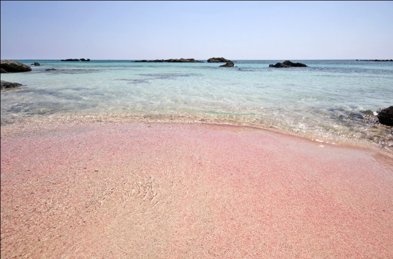 'La plage d'Elafonissi'. Vous n'hallucinez pas elle réellement rose, idéale pour s'y baigner après un ouzo (faites gaffe quand même parce que ça flirte avec les 50°d'alcool ce truc-là) .