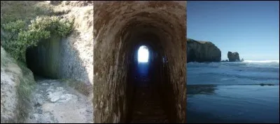 'Tunnel Beach', on y accède par... un tunnel. Les kiwis ne sont jamais très loin.