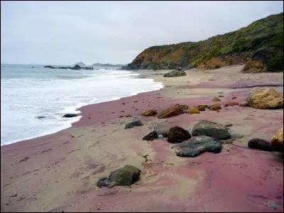 'Pfeiffer Beach', Julien Clerc a chanté cet état des States où se trouve cette plage .