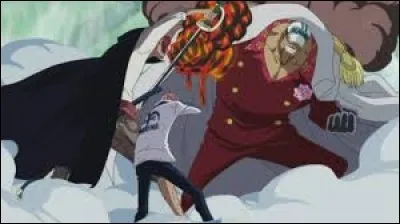 Et toi, préfères-tu être pirate ou marine ?