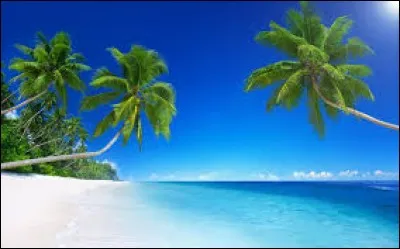 Qui chantait "Hôtel de la Plage" ?