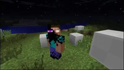 Quelle est cette mob ?