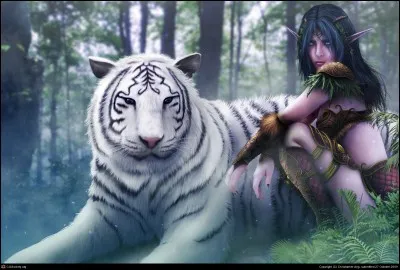 Quel type d'elfe élémentaire préfères-tu ?