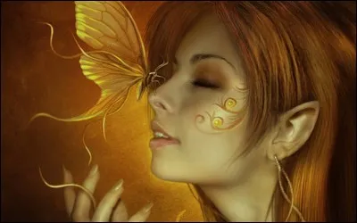 Tu préférerais maîtriser...