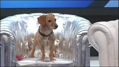 Qui a trouv le secret de Secret ?