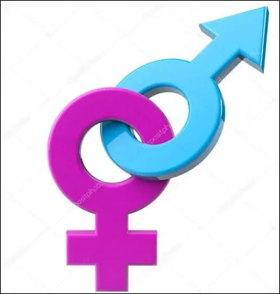 As-tu des frères/des surs ?