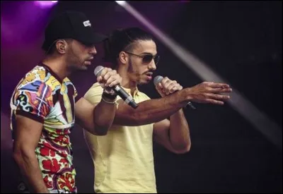 En quelle année PNL a été classé 8e meilleur vendeur d'albums en France ?