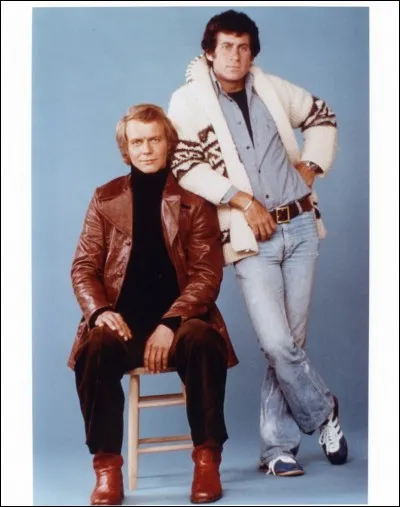 La voiture de Starsky et Hutch est noire.